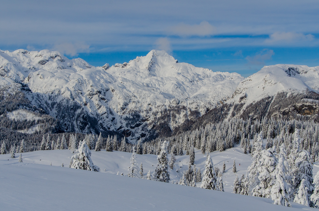 Velika Planina